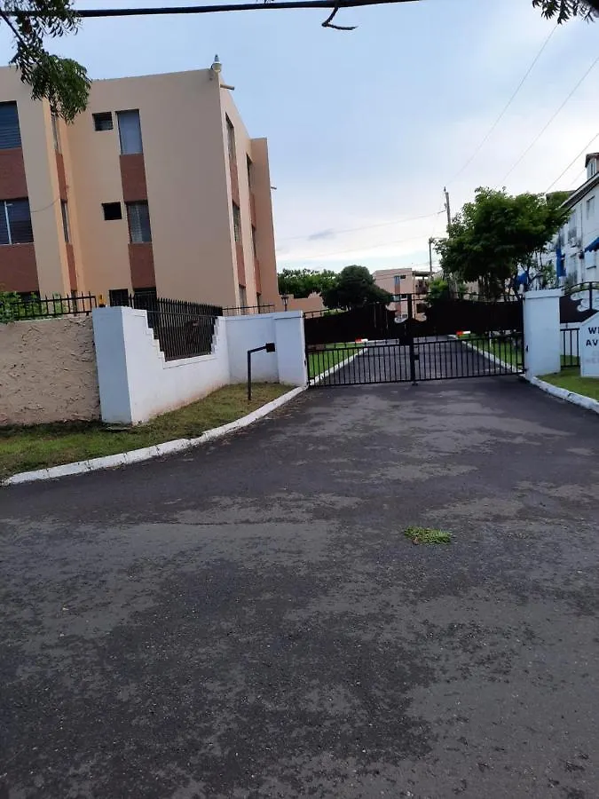Cozy Studio - Waterloo Road Apartment Kingston Jamaica