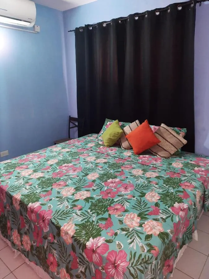 Cozy Studio - Waterloo Road Apartment Kingston