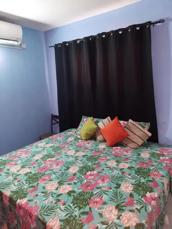 Cozy Studio - Waterloo Road Apartment Kingston 0*,  Jamaica